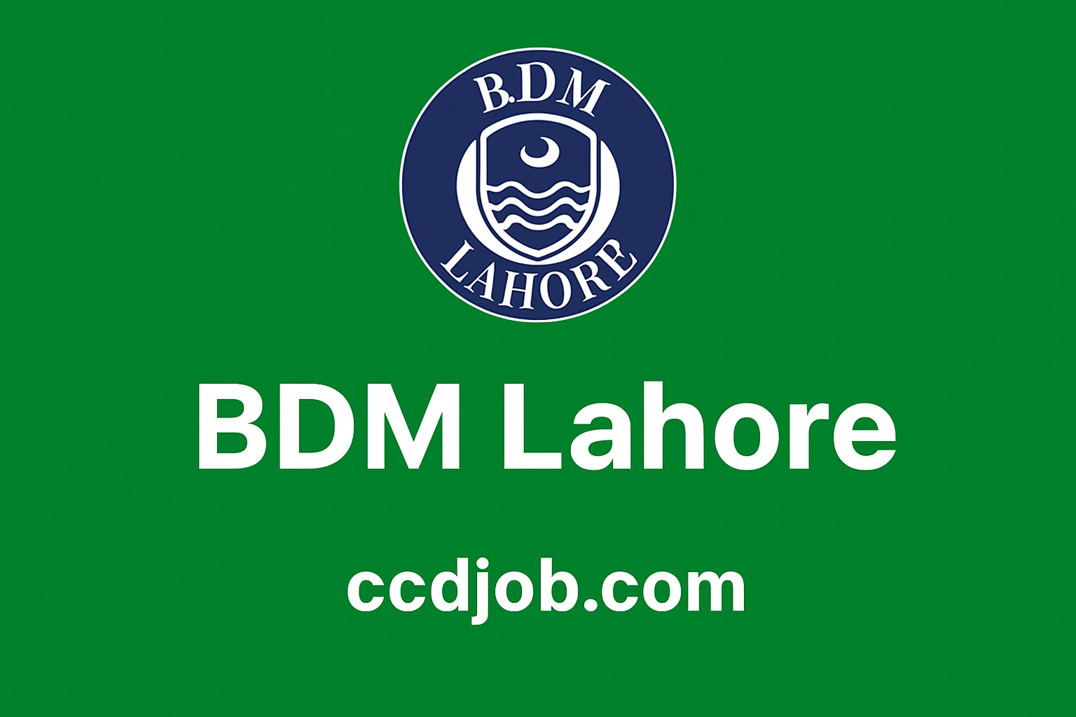 BDM Lahore Jobs