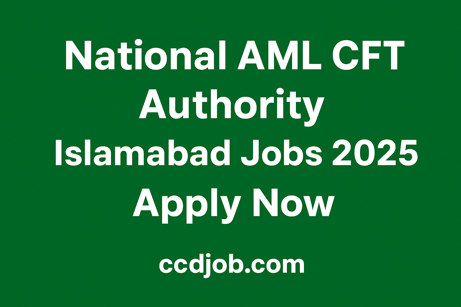 National AMLCFT Authority Jobs 2025
