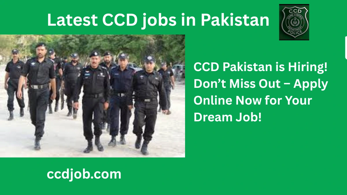 ccd jobs
