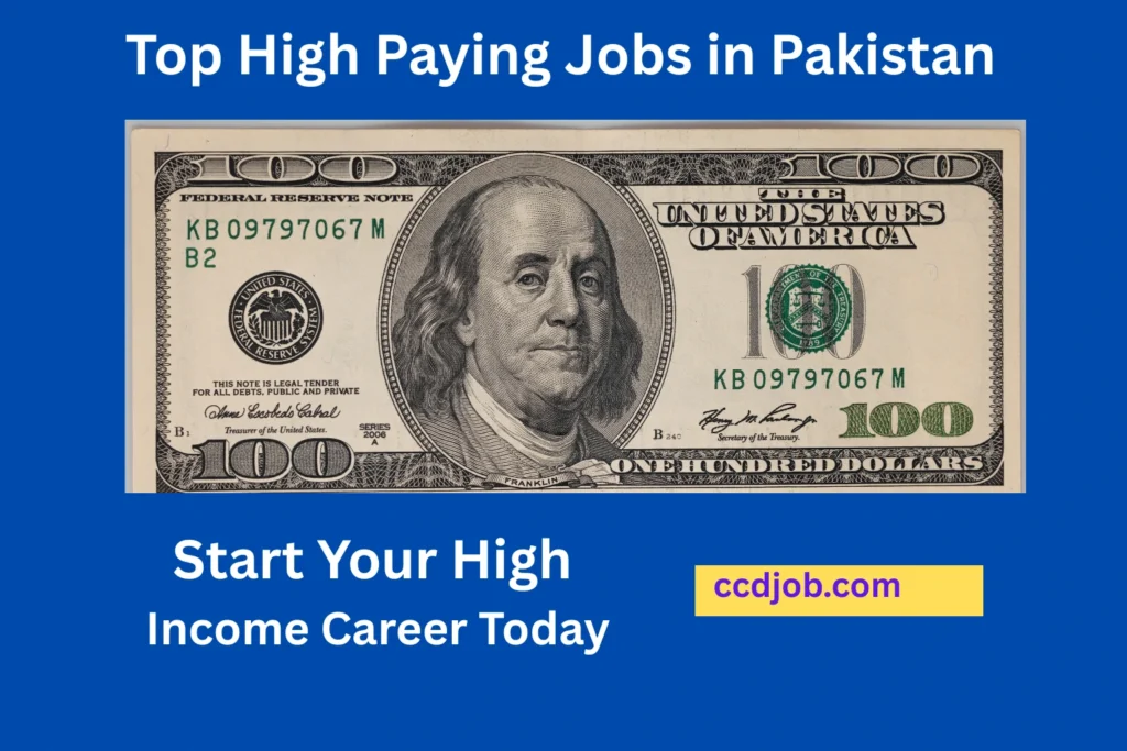 high paying jobs in pakistan